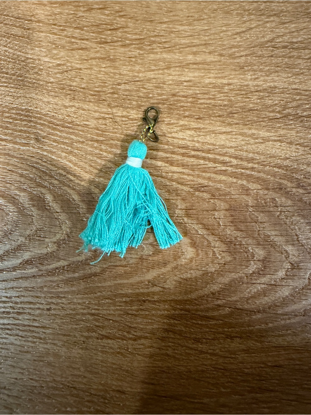 Turquoise/light blue Tassel Charm